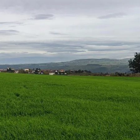Casa rural Campagnard Avec Animaux Acceptés, Terrasse Privée - Fr-1-496-299 Tartaras
